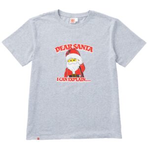 Adults' Short Sleeve Dear Santa T-Shirt