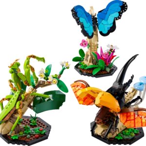 The Insect Collection