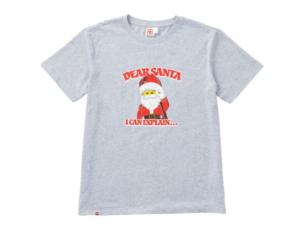 Adults' Short Sleeve Dear Santa T-Shirt