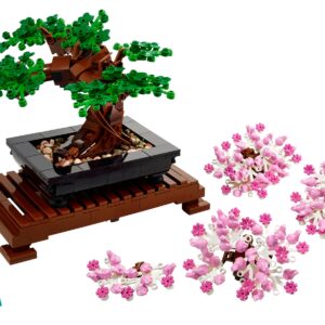 Bonsai Tree