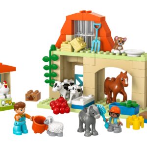 Caring for Animals at the Farm
