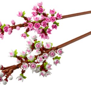 Cherry Blossoms