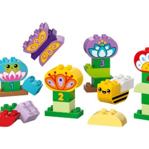 Creative Garden & Flowers