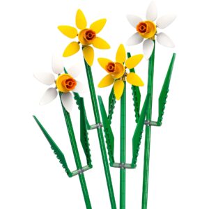 Daffodils