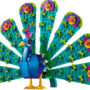 Exotic Peacock