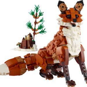 Forest Animals: Red Fox