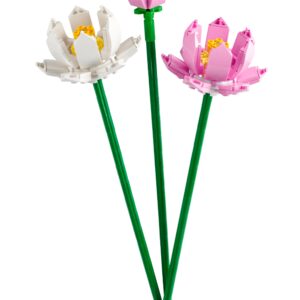 Lotus Flowers