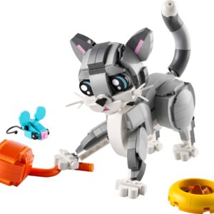 Playful Cat