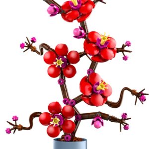 Plum Blossom